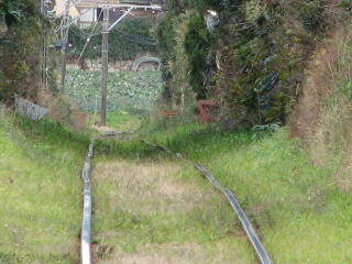 �䂪�񂾃��[��