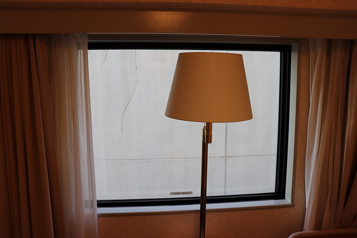 富山地鉄ホテル部屋からの景色